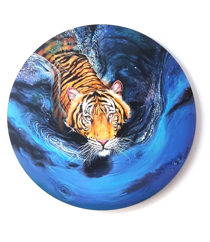 b30cd1d1-f4c3-42fa-99bd-2897c21ec8c5. VARANGAONKAR Tigers 1 oil colors on canvas 24×24 INCH DIAMETER.jpg